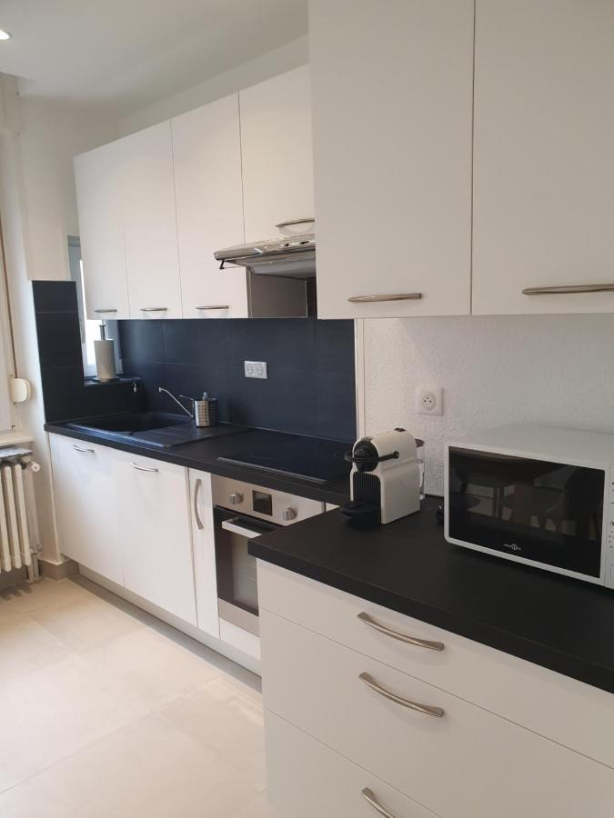 Appartement De Prestige Au Centre Climatise Avec Jardin Prive Colmar Eksteriør billede