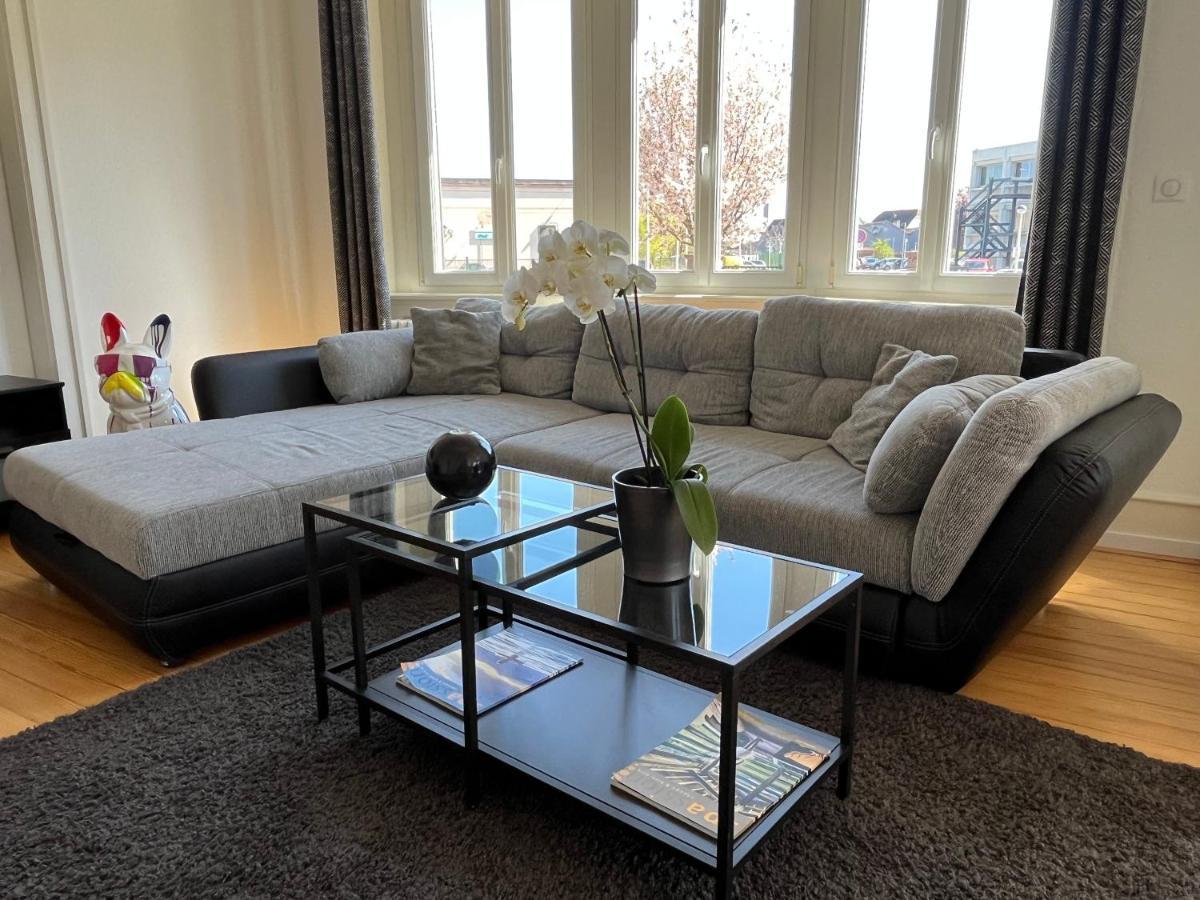 Appartement De Prestige Au Centre Climatise Avec Jardin Prive Colmar Eksteriør billede