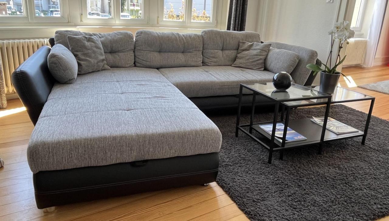 Appartement De Prestige Au Centre Climatise Avec Jardin Prive Colmar Eksteriør billede