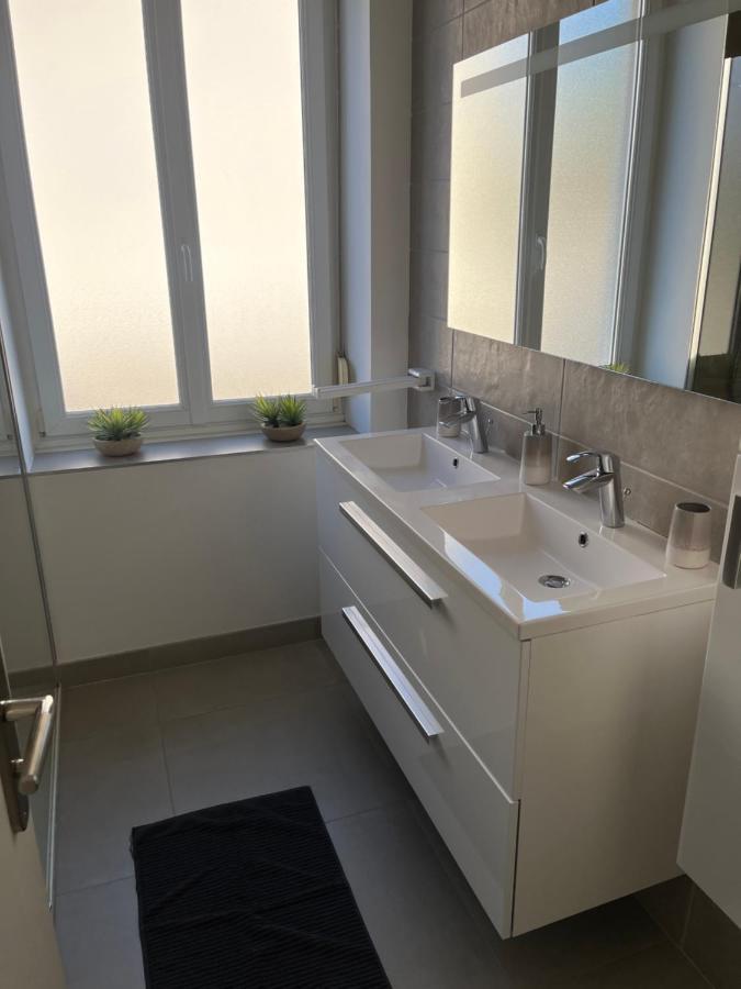 Appartement De Prestige Au Centre Climatise Avec Jardin Prive Colmar Eksteriør billede