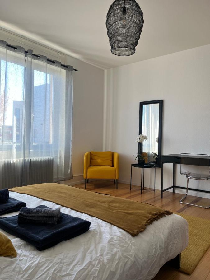 Appartement De Prestige Au Centre Climatise Avec Jardin Prive Colmar Eksteriør billede