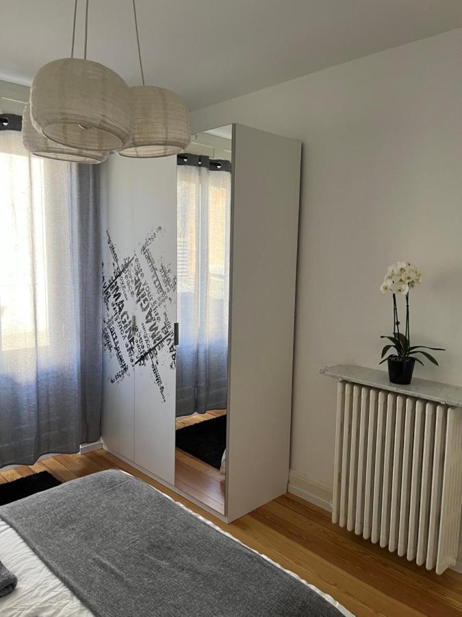 Appartement De Prestige Au Centre Climatise Avec Jardin Prive Colmar Eksteriør billede