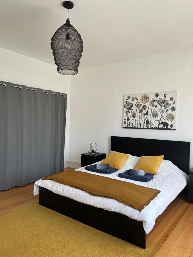 Appartement De Prestige Au Centre Climatise Avec Jardin Prive Colmar Eksteriør billede