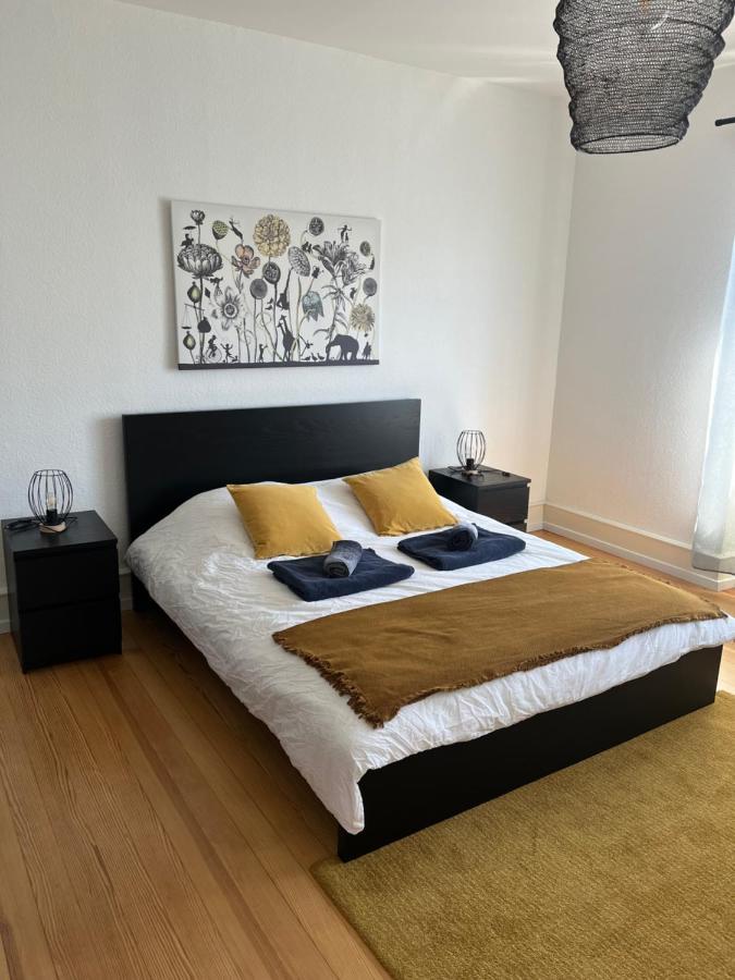 Appartement De Prestige Au Centre Climatise Avec Jardin Prive Colmar Eksteriør billede