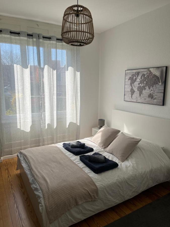 Appartement De Prestige Au Centre Climatise Avec Jardin Prive Colmar Eksteriør billede