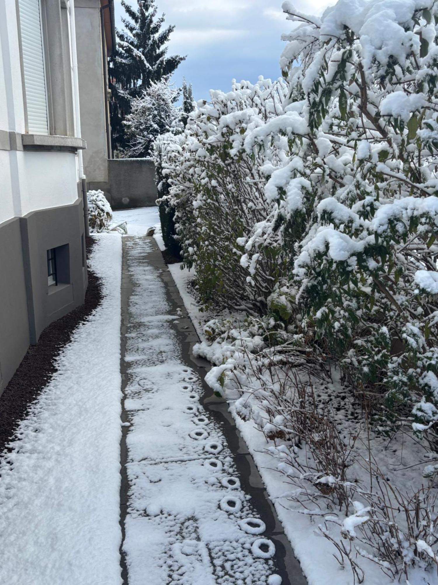 Appartement De Prestige Au Centre Climatise Avec Jardin Prive Colmar Eksteriør billede